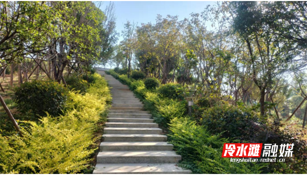 人防小游园登山园路坡度小,老少咸宜,适合居家休闲散步。   蒋周平  王伟摄.png