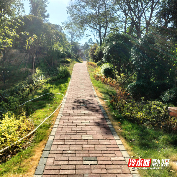 在建设人防小游园过程中运用海绵城市理念，采用透水砖铺设小游园园路，起到渗水、蓄水等功效。  蒋周平  王伟摄.jpg