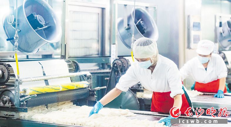 　　长沙银洲食品有限公司对生产线进行了自动化改造，推动米粉生产走向标准化、工业化。　　长沙晚报全媒体记者 郭雨滴 摄
