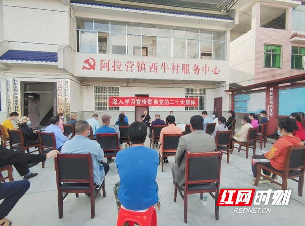 图片40.jpg