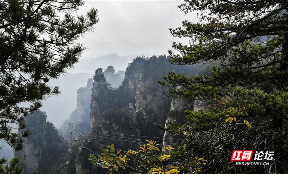 29 仙境—张家界市武陵园景区.jpg