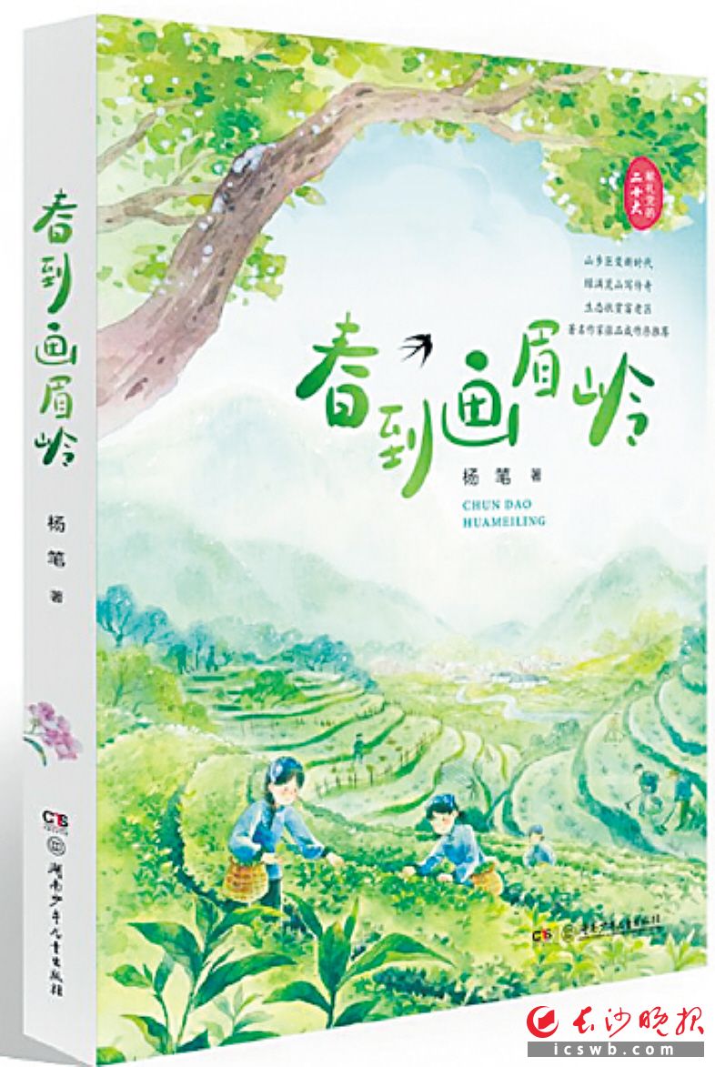 　　《春到画眉岭》/杨笔 著/　　湖南少年儿童出版社/2022年10月