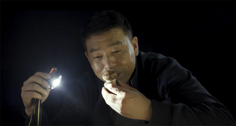 QQ浏览器截图20221117110715.jpg