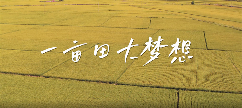 微信图片_20221117092203.jpg