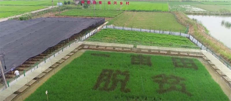 QQ浏览器截图20221117110330.jpg