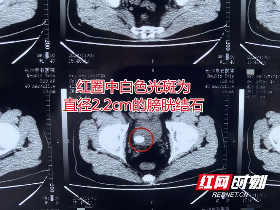 图片23.wm.jpg