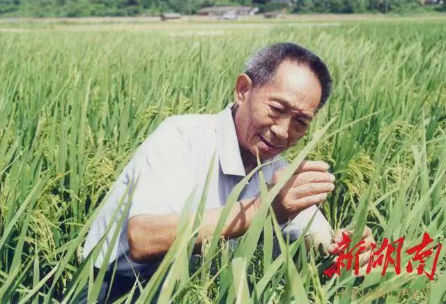 湖南日报专访许忠建：以“一粒种子改变世界”为引爆点 奋力打造全国知名旅游目的地