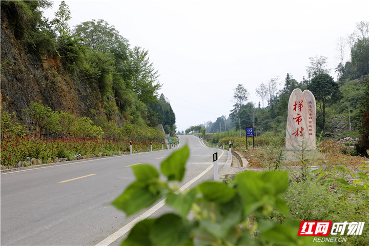 入村道路及村口标志.jpg