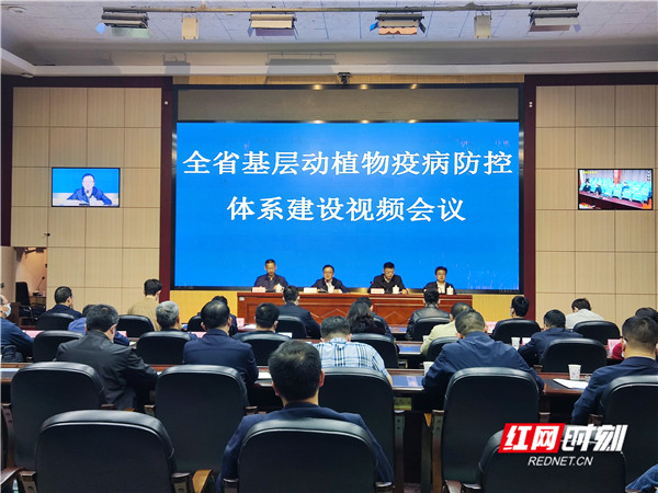 微信图片_20221121174347_副本.jpg