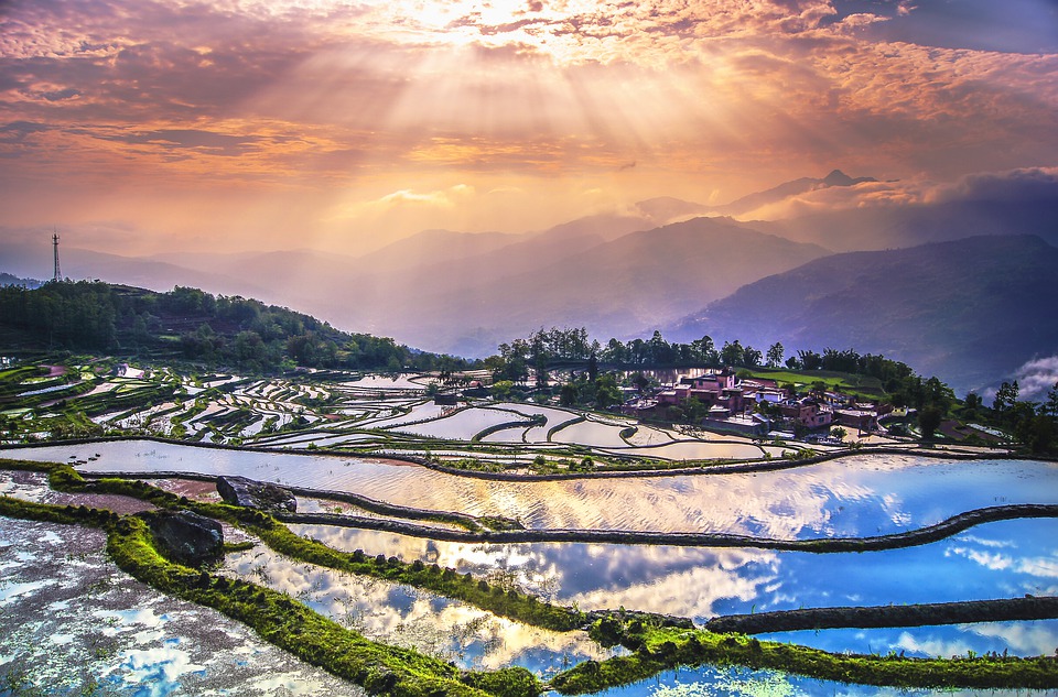 terraces-4717744_960_720.jpg