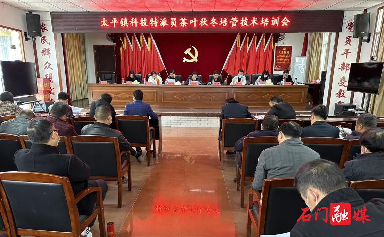太平镇：指导茶叶培管，助力茶农增收1.jpg