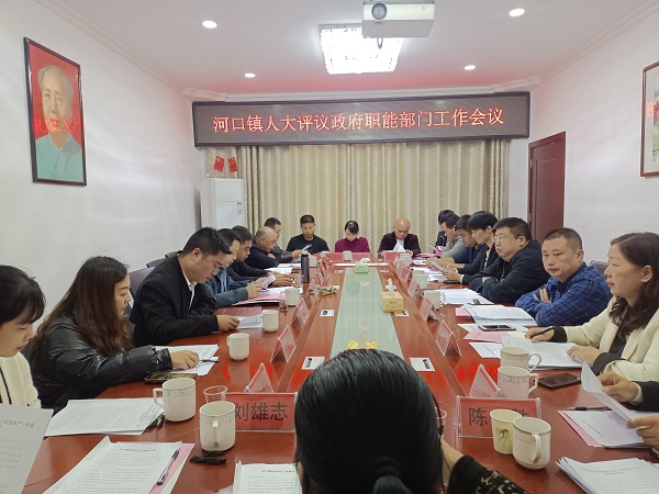 评议会议现场.jpg