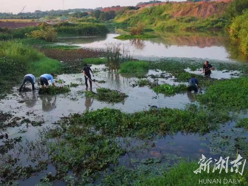 长沙县：引入社会资本 整治河道造景观