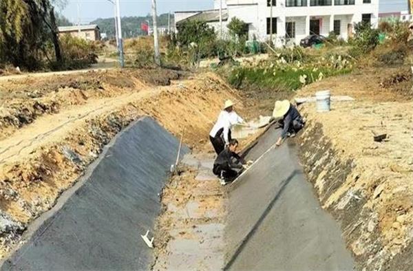 图片2_看图王.jpg