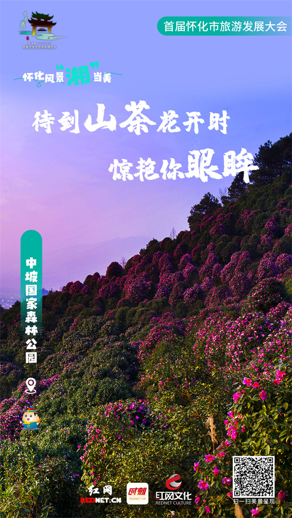 系列海报—中坡国家森林公园_副本.jpg
