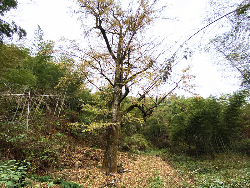 c35be3c5fd3d09701a080731f667c86_副本.jpg
