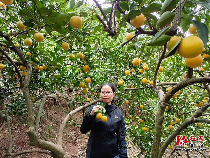 微信图片_20221125163446.jpg