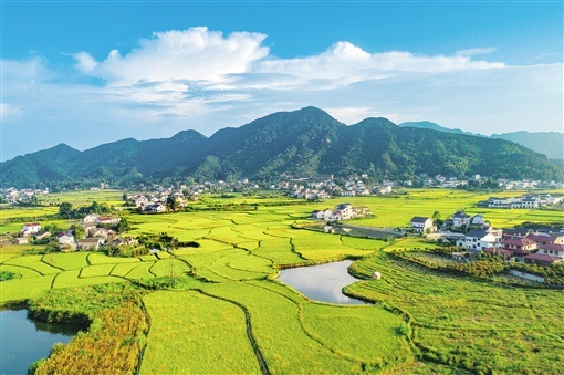 今日韶山格外红——写在2022中国红色旅游博览会开幕之际