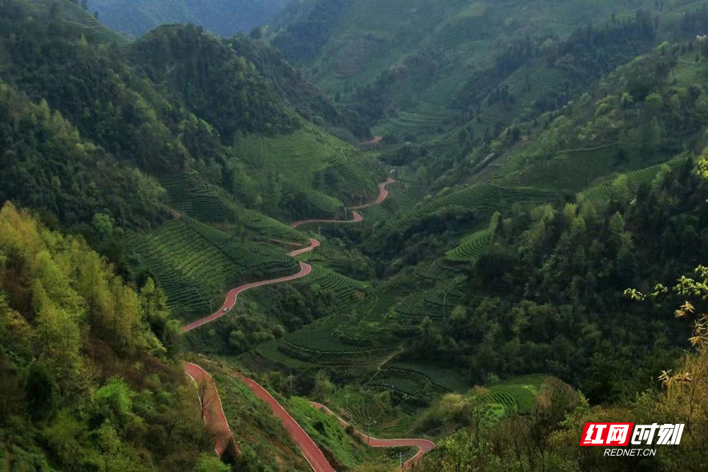 图片1.jpg 图片1.jpg