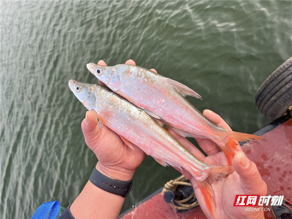 微信图片_20221128112400_副本.jpg 微信图片_20221128112400_副本.jpg