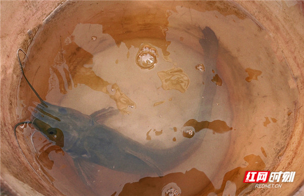 微信图片_20221128112333_副本.jpg 微信图片_20221128112333_副本.jpg