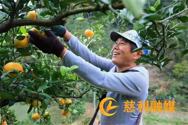 图片2_副本4.png 图片2_副本4.png