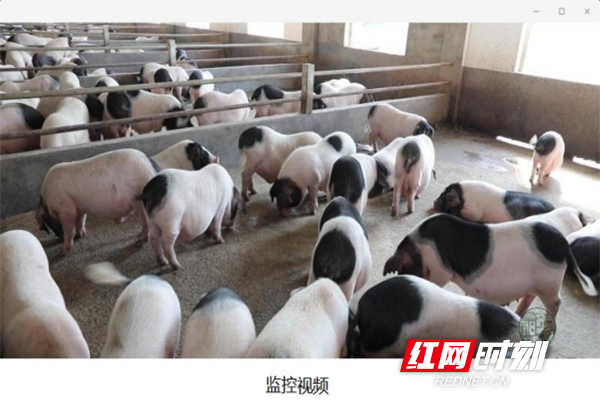 微信图片_20221129160248.jpg