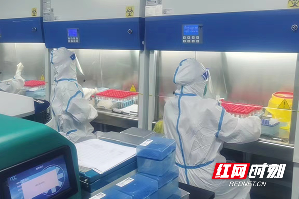 核酸样本检测现场.png
