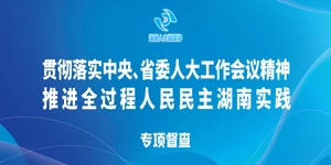 推進全過程人民民主湖南實踐專項督查