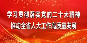 学习贯彻落实党的二十大精神 推动全省人大工作高质量发展