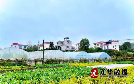 微信截图_20221202175708.png