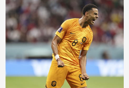 638629e5f3e82afe2b20c66a_490x336!.jpg 638629e5f3e82afe2b20c66a_490x336!.jpg