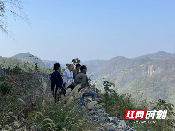 图片19.jpg
