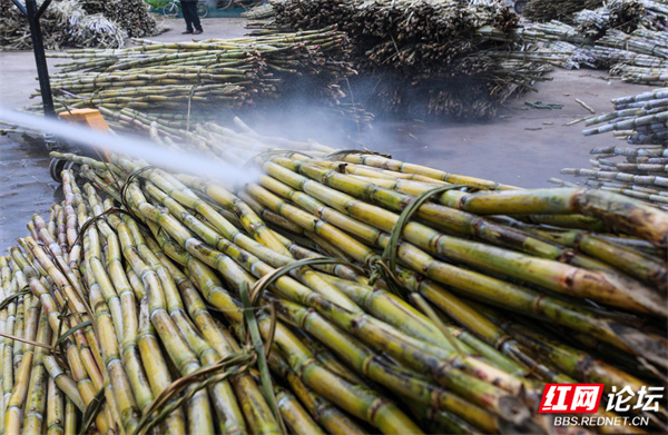 202127um07ivvz2umqziry.jpg 202127um07ivvz2umqziry.jpg