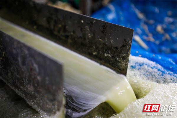 202311a6ve22746vv9j89z.jpg 202311a6ve22746vv9j89z.jpg