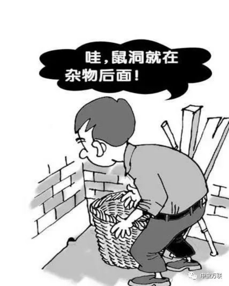图片3_副本.jpg