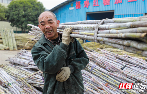 201954gy3gnuvhn9wdz14d.jpg 201954gy3gnuvhn9wdz14d.jpg