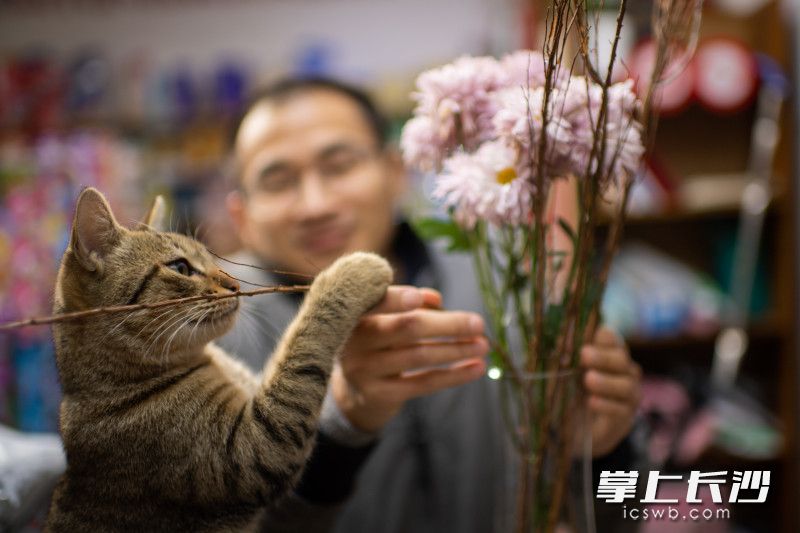 在超市里，郭海波悉心地布置了许多盆花，他说想让来的邻居们，感觉到小店的温暖。