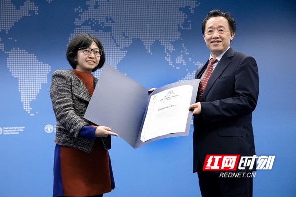 联合国粮农组织总干事屈冬玉（右）为拼多多颁发年度创新奖。联合国粮农组织｜图.jpg