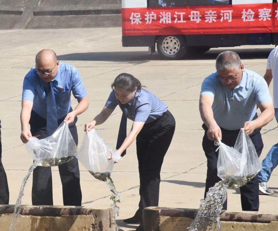 治理现场。单位供图 治理现场。单位供图