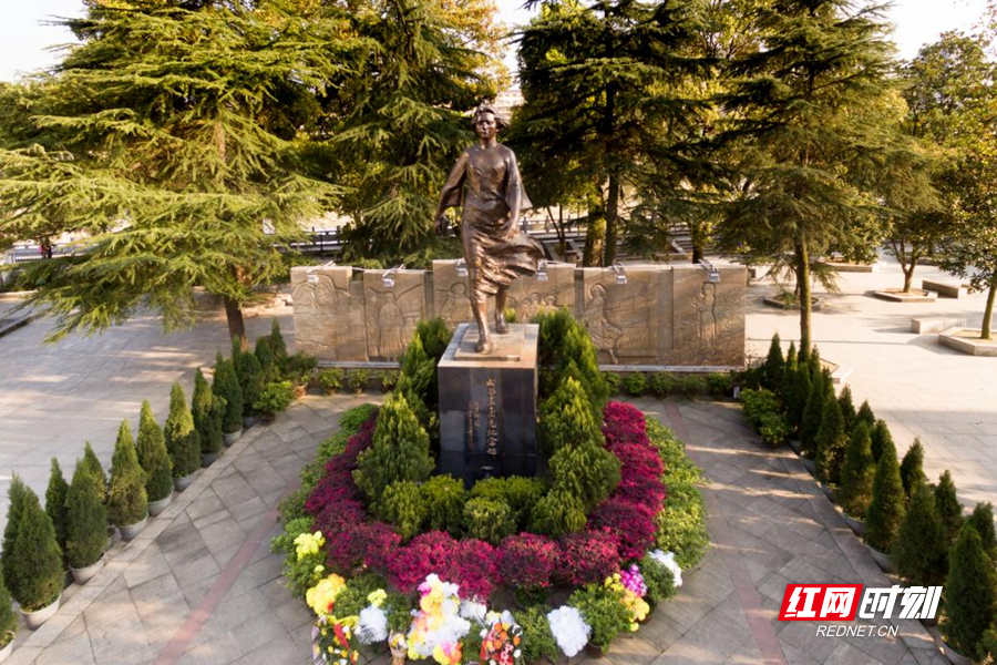 图片8.png 图片8.png