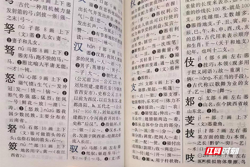 从一个字认识一串字罗健团队编写《中华字根字典》-湖南频道