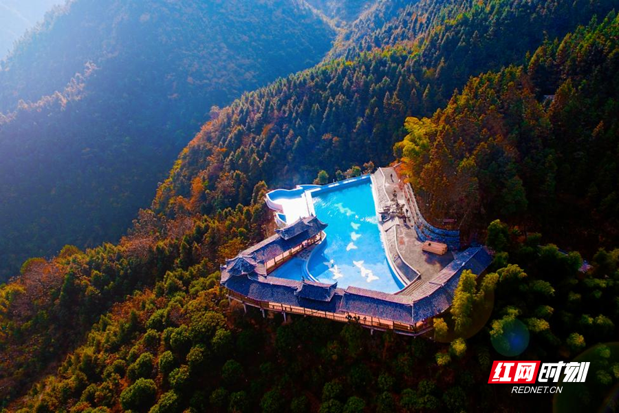 图片9.png 图片9.png