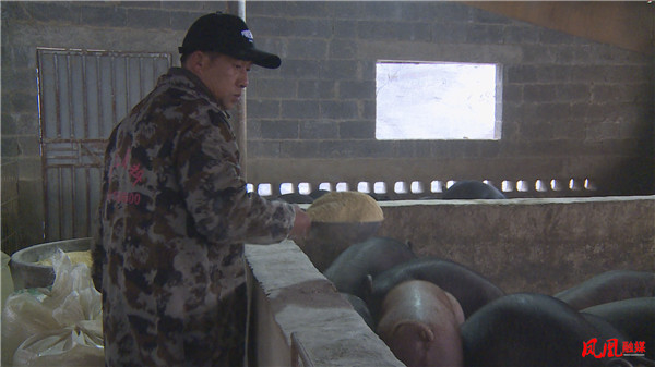 Still1213_00038.jpg Still1213_00038.jpg