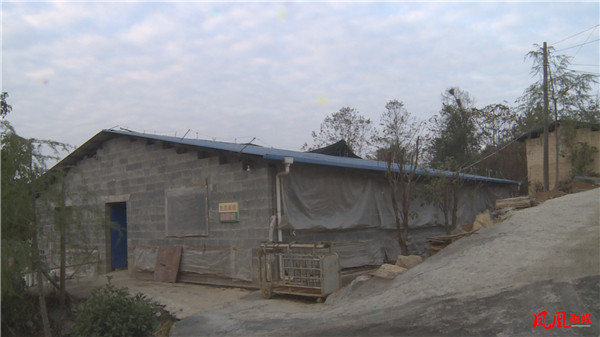 Still1213_00043.jpg Still1213_00043.jpg