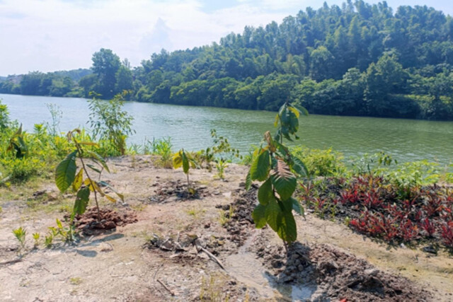 【投诉举报案例发布】(二十七)丨娄底双峰查处非法私设暗管排放污染物案