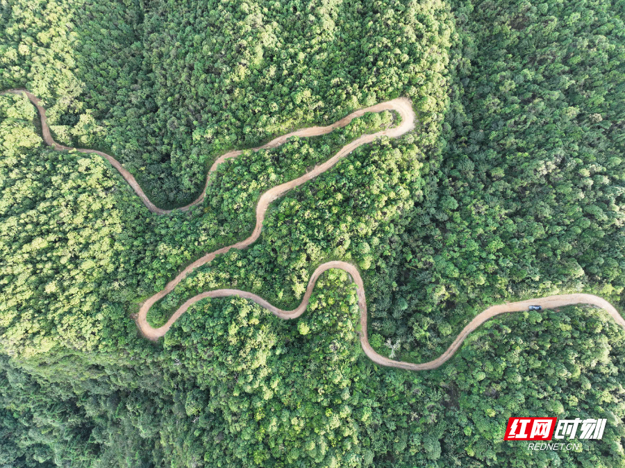 1 (11).jpg 1 (11).jpg