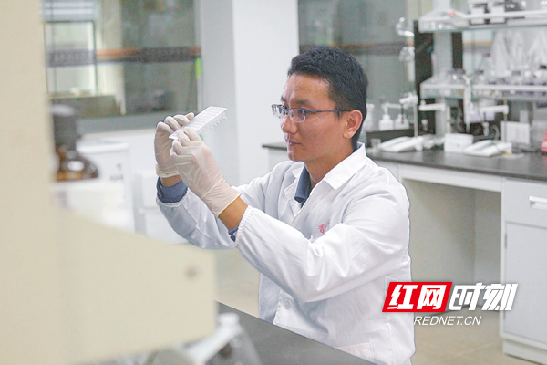 ▲80后李付鹏自2020年接任香饮所可可研究中心主任后，扛起了品种培优的重任。采访对象供图。.jpg