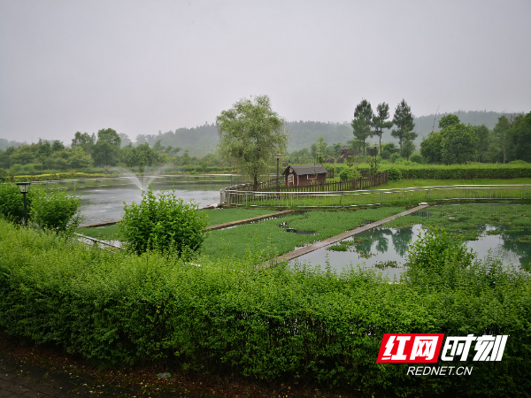 湘潭盘龙大观园高效节水灌溉基地。.jpg