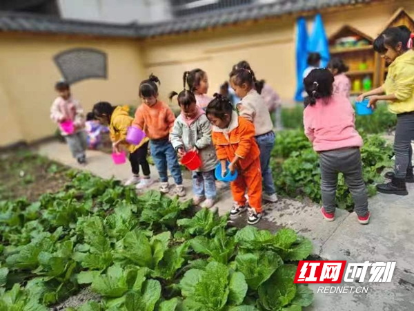 图片11.jpg